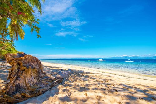 Best Beach Holiday Destination In The Philippines This Summer 2020