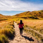 LET’S GO HIKING and TREKKING at MOUNT PULAG