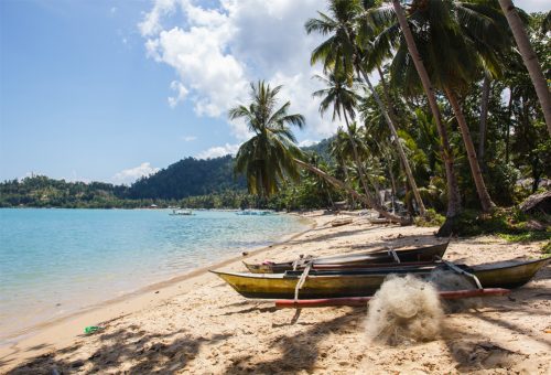 The Famous San Vicente, Palawan